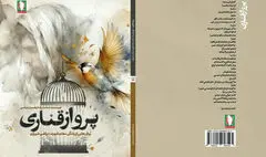 پرواز قناری منتشر شد 