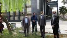 کاشت نهالی به نام مبارک و رونمایی از کتاب‌های جشنواره نمایش عروسکی