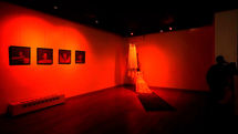 Sara Sassani, Tayebeh Nasrollahi photo-installation art in Ace Gallery