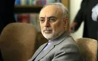 علی‌اکبر صالحی: سعدی نماینده خرد و سخن ایران است