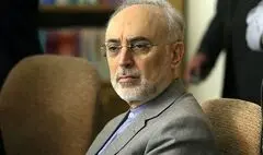 علی‌اکبر صالحی: سعدی نماینده خرد و سخن ایران است