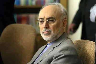 علی‌اکبر صالحی: سعدی نماینده خرد و سخن ایران است