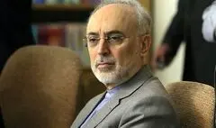 علی‌اکبر صالحی: سعدی نماینده خرد و سخن ایران است