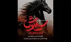 «سیاوش» به هیچ نهادی وابسته نیست؛ هزینه‌ها کاملا شخصی است!