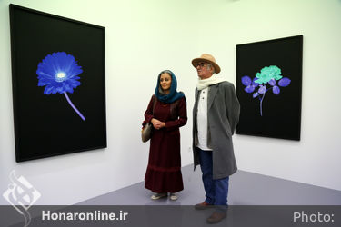 نمایشگاه عکس‌های نیکی کریمی در گالری اعتماد باغ نگارستان