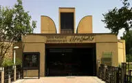 موزه هنرهای معاصر تهران میزبان روایت نمایشی قصه «سنگ‌صبور» شد