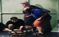 نمایش 