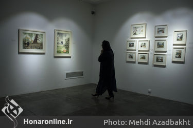 نمایشگاه نقاشی شیما فریدنی در گالری شیرین