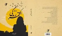 انتشار رمان «یک عمر زندگی» به قلم «المیرا یادمند»