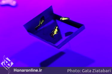 چیدمان دهمین جشنواره بین المللی هنرهای تجسمی فجر