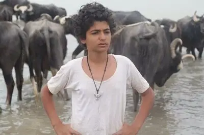 “The American Bull” tops at Turkey’s Lion short filmfest