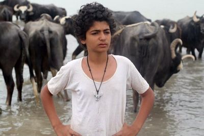 “The American Bull” tops at Turkey’s Lion short filmfest