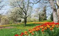 نوروز و بهار در یک عمر شعر فارسی