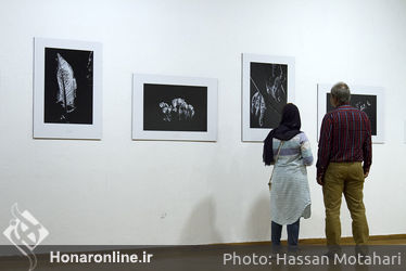 آئین افتتاحیه نمایشگاه عکاسی داریوش محمدخانی در فرهنگسرای نیاوران 
