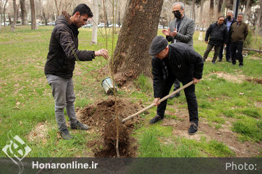 کاشت نهال توسط هنرمندان در فرهنگسرای نیاوران