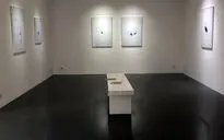 نمایشگاه آثار سحر صفریان در گالری اعتماد