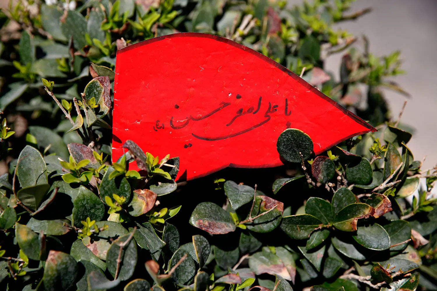 پیاده‌روی جاماندگان اربعین در تهران / ۲