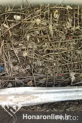 نمایشگاه نقاشی علی معمری در گالری اُ 