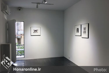 نمایشگاه آثار محمدرضا قربانی در گالری عصر