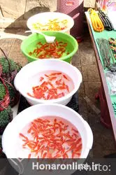 حال و هوای شهر در روزهای پایانی سال