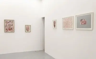 روایت کژال فخری از نمایشگاه «نشانی‌های نامعین» در گالری سو | محو شدن زیبایی