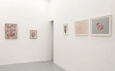روایت کژال فخری از نمایشگاه «نشانی‌های نامعین» در گالری سو | محو شدن زیبایی