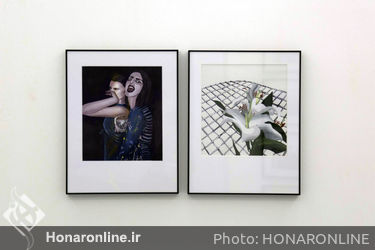 نمایشگاه گروهی "فتوژنیک" در گالری سو