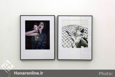 نمایشگاه گروهی "فتوژنیک" در گالری سو