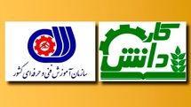 مقایسه عملکرد کاردانش و فنی و حرفهای در زمینه آموزش طراحی مد و لباس از زبان یک مدرس