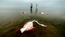 Images from Iran shortisted for Sony World Photography Awards 2022