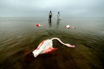Images from Iran shortisted for Sony World Photography Awards 2022