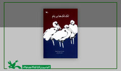 «لک‌لک‌ها بر بام» در دوازدهمین مرحله چاپ به ۱۵۹هزار نسخه رسید