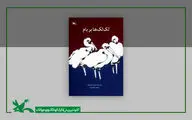 «لک‌لک‌ها بر بام» در دوازدهمین مرحله چاپ به ۱۵۹هزار نسخه رسید