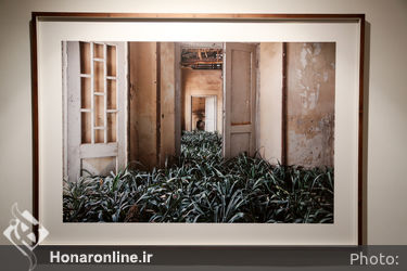افتتاحیه نمایشگاه  آثار گوهر دشتی در گالری محسن