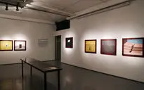 نمایشگاه نقاشی حامد صحیحی در گالری طراحان آزاد
