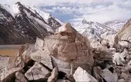 Cinéma Vérité to screen Cannes winner “Cordillera of Dreams”