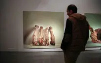 نمایشگاه آثار احمد مرشدلو در گالری طراحان آزاد