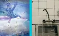 ۲ اثر ایرانی به انیمست رومانی دعوت شدند