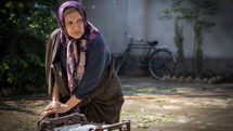 «شادروان» آماده نمایش در فجر شد | نمازی: فیلم من کمدی نیست!