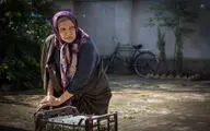 «شادروان» آماده نمایش در فجر شد | نمازی: فیلم من کمدی نیست!