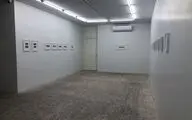 نمایشگاه آثار و کتاب پریسا داودی در گالری ۰۰۹۸۲۱