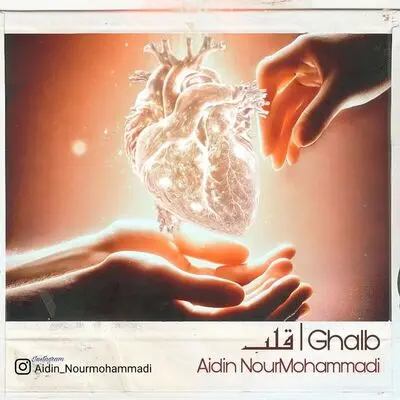 اهدای دوئت «قلب» به اهداکنندگان اعضا