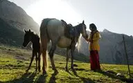 Iranian movies to compete in Big Sky documentary festival