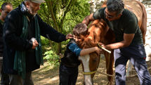 “The End of Dreams” receives nomination at APSA 