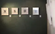 گسترش و پیچیدگی زبان در سوال‌های تصویری / روایت فلاح و ایوبی از نمایشگاه 