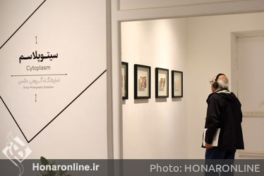 نمایشگاه عکس‌های بهار اصلانی، سارا ساسانی و نازلی عباس‌پور در گالری هپتا