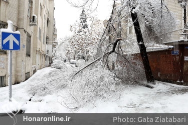 صبح برفی تهران 