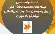 اسامی فیلم‌های مستند راه‌یافته به جشنواره فیلم‌کوتاه تهران اعلام شد