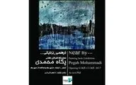 آثار پگاه محمدی روی دیوار گالری فردا