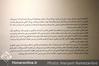 نمایشگاه نقاشی داوود زندیان در گالری ایرانشهر